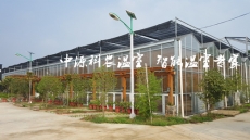 河南生態餐廳設計建造
