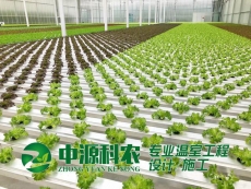 漢川中源科農環保技術有限公司