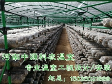 南京食用菌溫室大棚