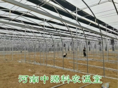 南京食用菌溫室大棚公司