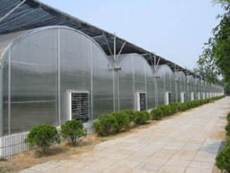 南京焦作連棟充氣膜溫室公司