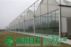 湖南遼寧丹東連棟薄膜溫室公司