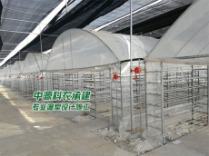 遼寧寬甸食用菌溫室大棚公司