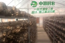 安徽蚌埠食用菌溫室大棚公司
