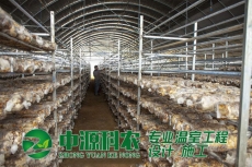 安徽淮南食用菌溫室大棚公司