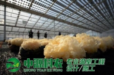 貴州銅仁市食用菌溫室大棚公司