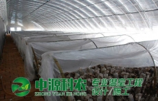 湖北省鄂州市食用菌溫室大棚公司