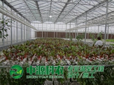 湖北省襄陽市食用菌溫室大棚公司