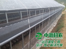 晉        江食用菌溫室大棚公司建設、溫室建造、大棚建設